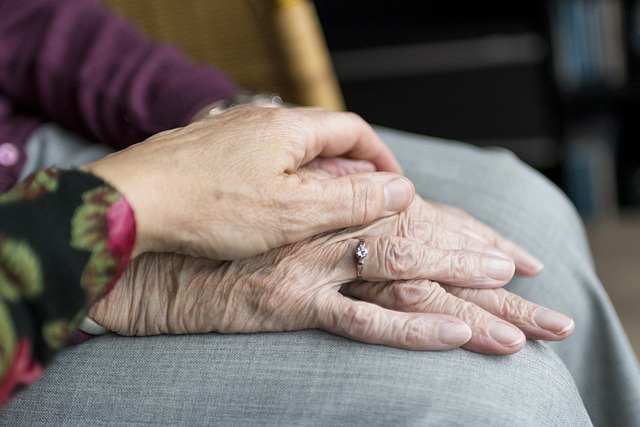 Navigating the Complexities of Probate Law in Florida