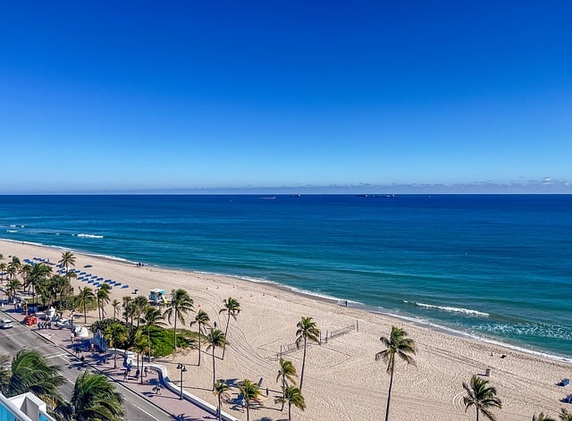 Understanding the Role of a Probate Attorney in Florida