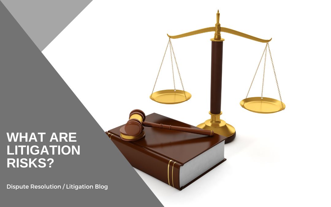 What are litigation risks?