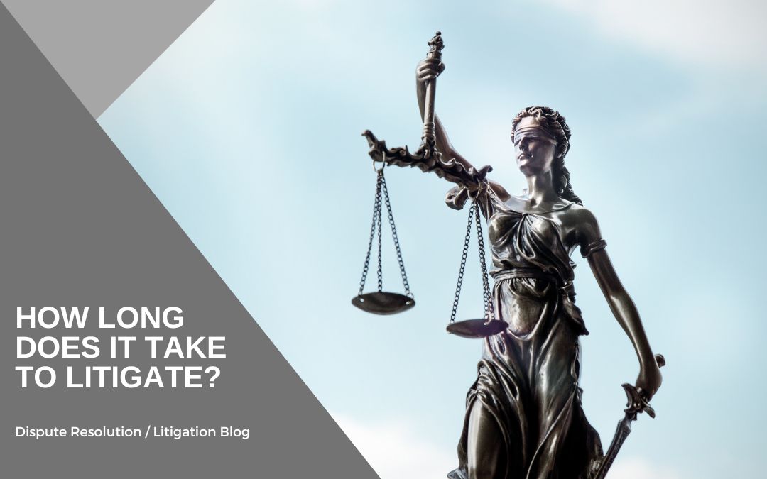 How long does it take to litigate?