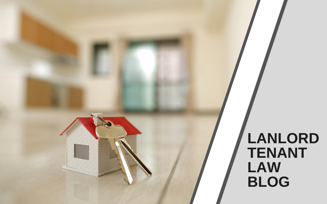 Landlord Tenant Blog Header Landlord Tenant Blog Header