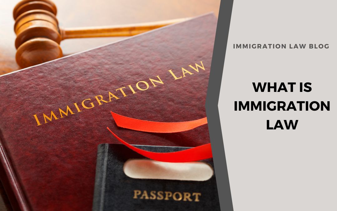 What is Immigration Law