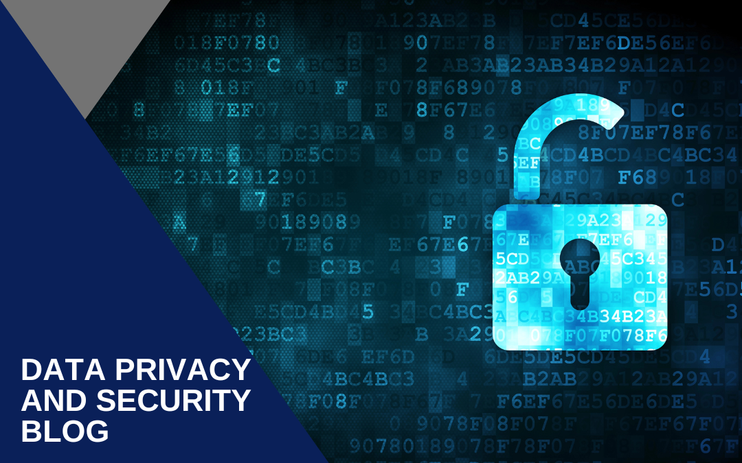 Data Privacy and Security Intellectual Property Law Blog Header